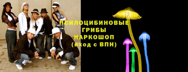 каннабис Аркадак
