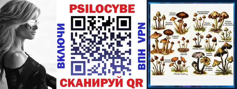 Галлюциногенные грибы Psilocybine cubensis где купить наркоту Советск